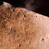 inscription of siglum Is.Mu 730