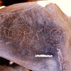 inscription of siglum Is.Mu 732