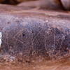 inscription of siglum Is.Mu 733