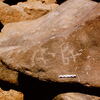 inscription of siglum Is.Mu 741