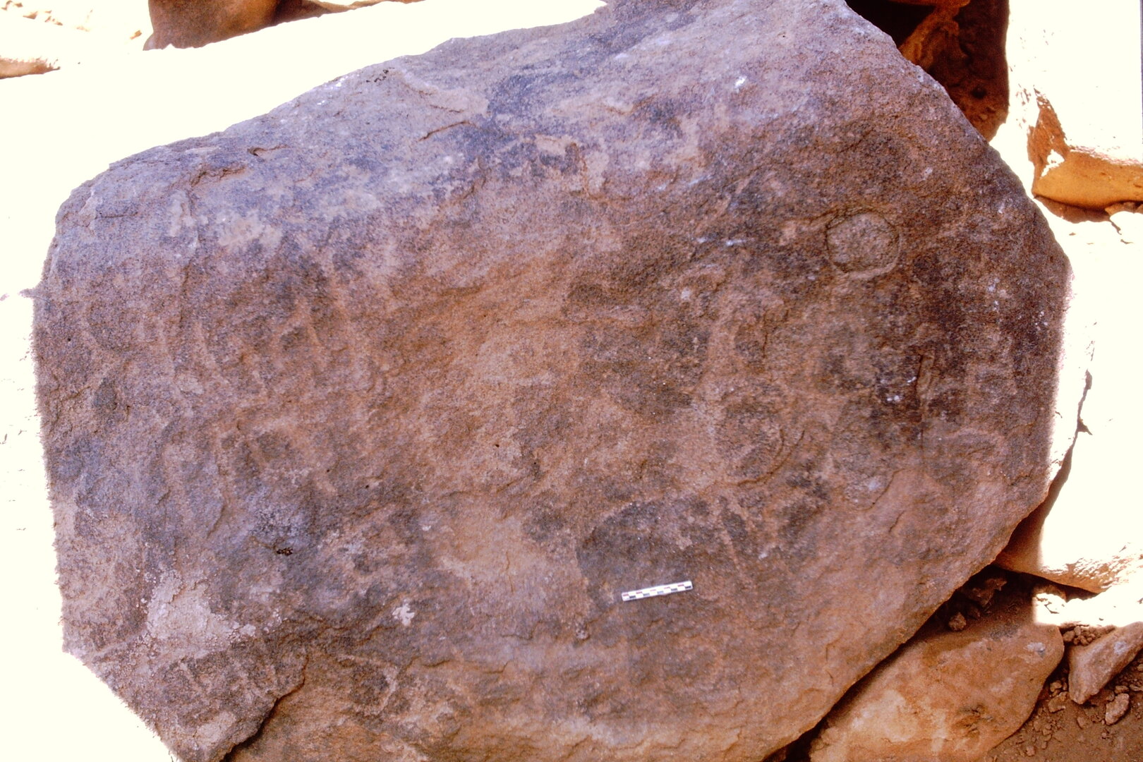 inscription of siglum Is.Mu 744