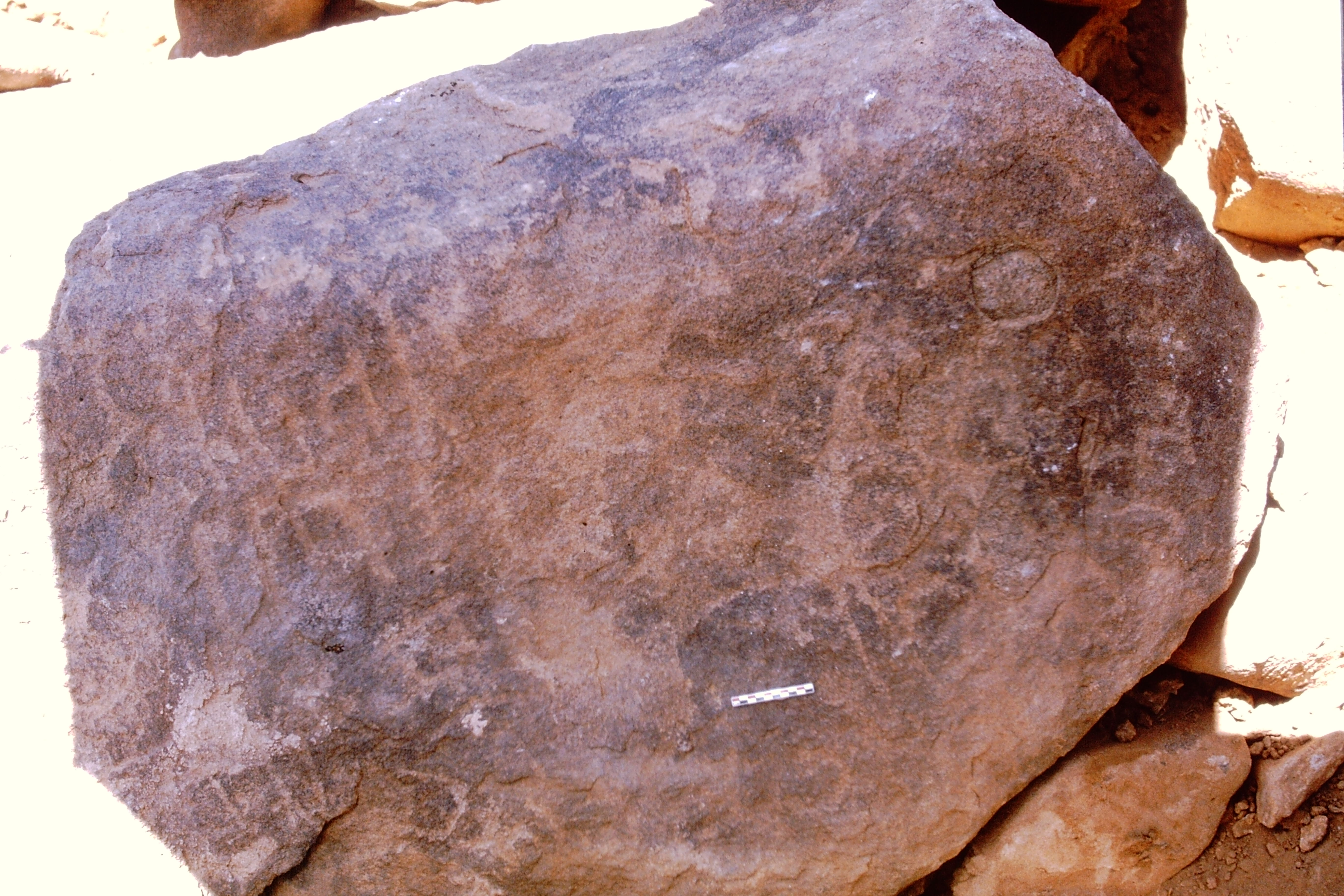 inscription of siglum Is.Mu 744