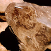 inscription of siglum Is.Mu 748