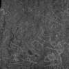 inscription of siglum Is.Mu 75