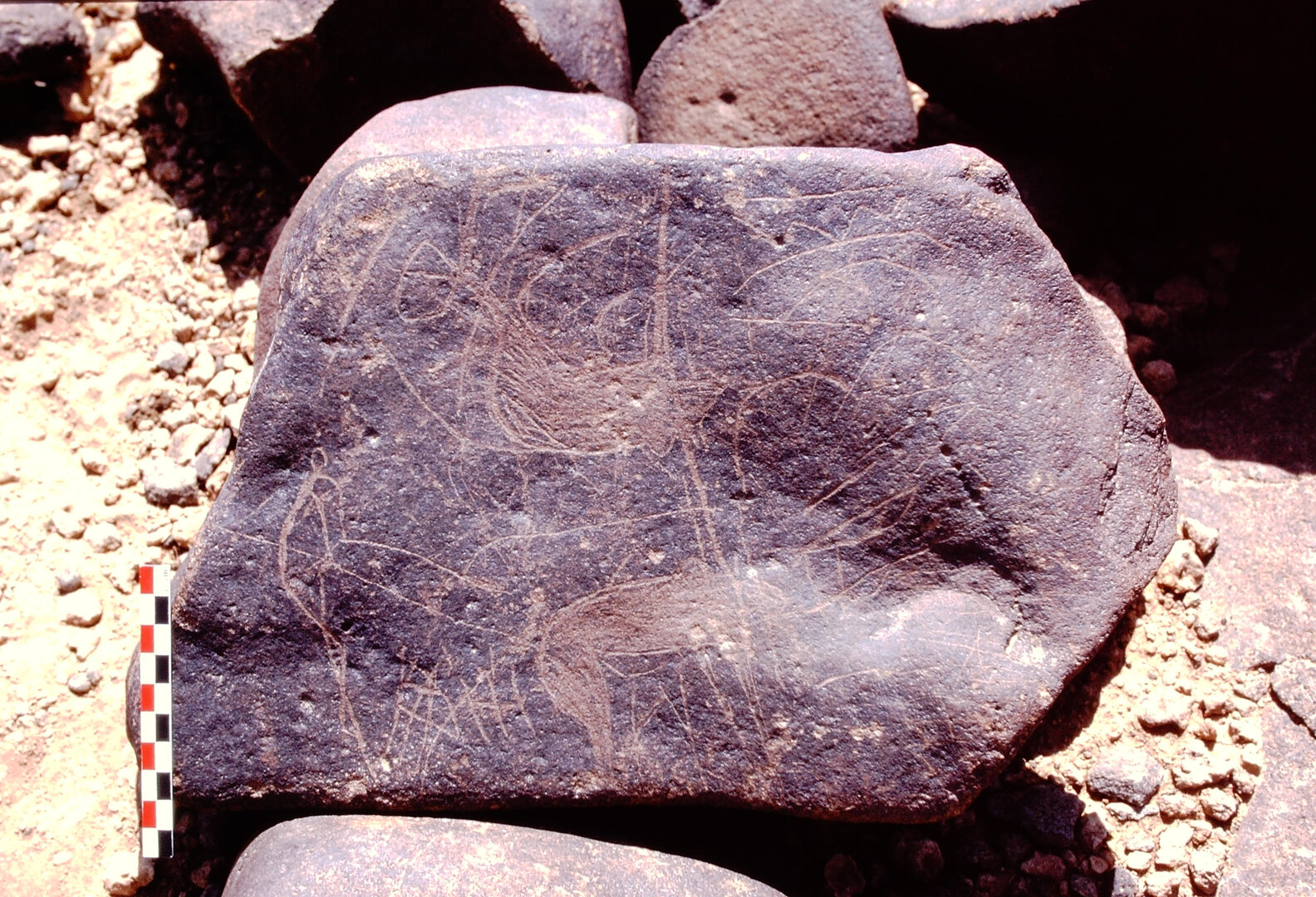 inscription of siglum Is.Mu 77