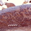 inscription of siglum Is.Mu 804