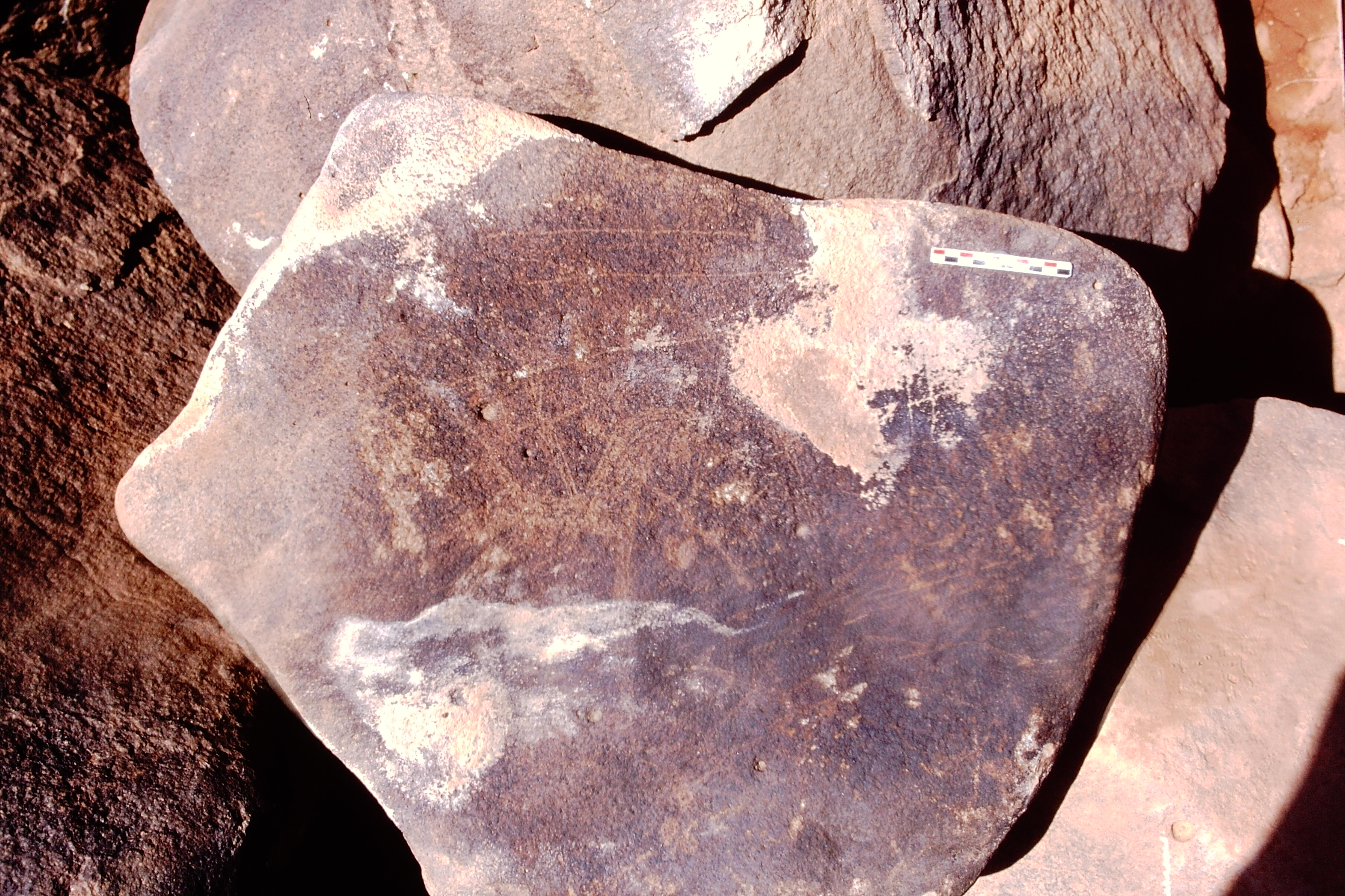 inscription of siglum Is.Mu 813