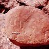 inscription of siglum Is.Mu 825