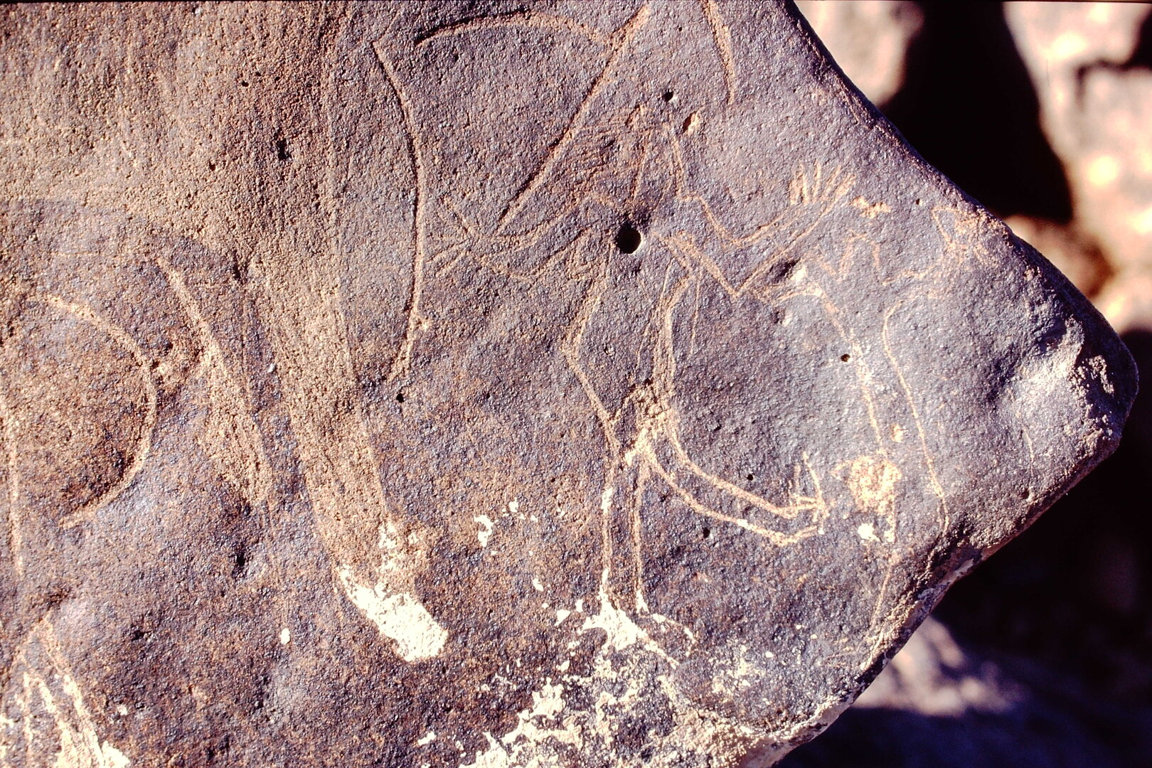 inscription of siglum Is.Mu 83