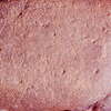 inscription of siglum Is.Mu 836