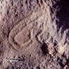 inscription of siglum Is.Mu 837