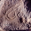 inscription of siglum Is.Mu 837