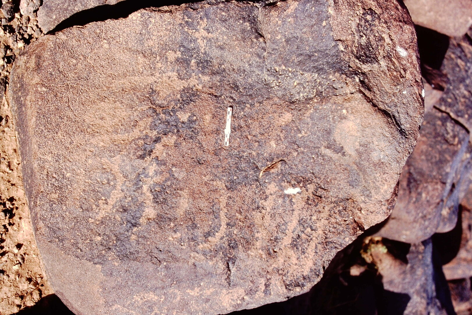 inscription of siglum Is.Mu 838
