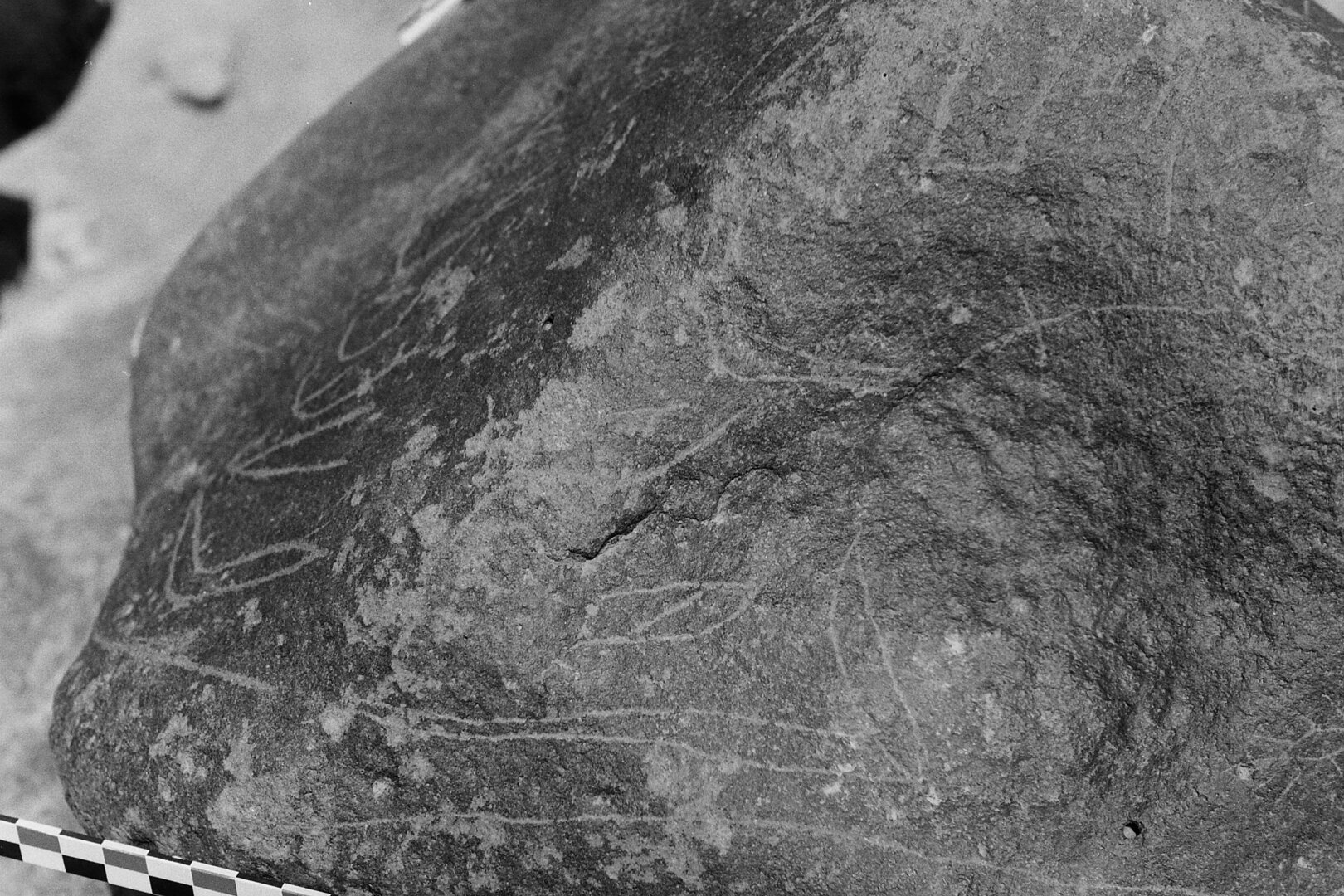 inscription of siglum Is.Mu 84