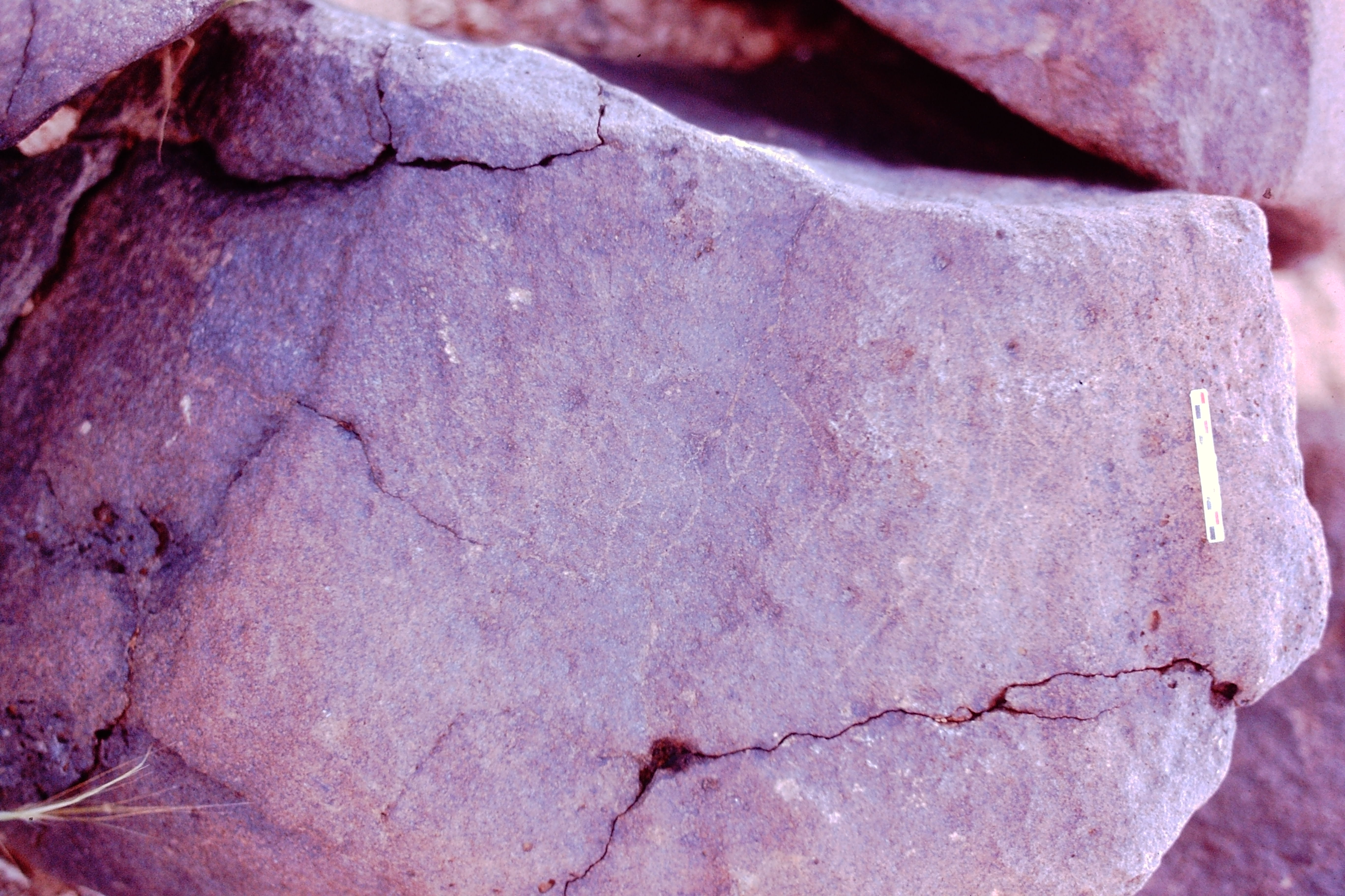 inscription of siglum Is.Mu 841
