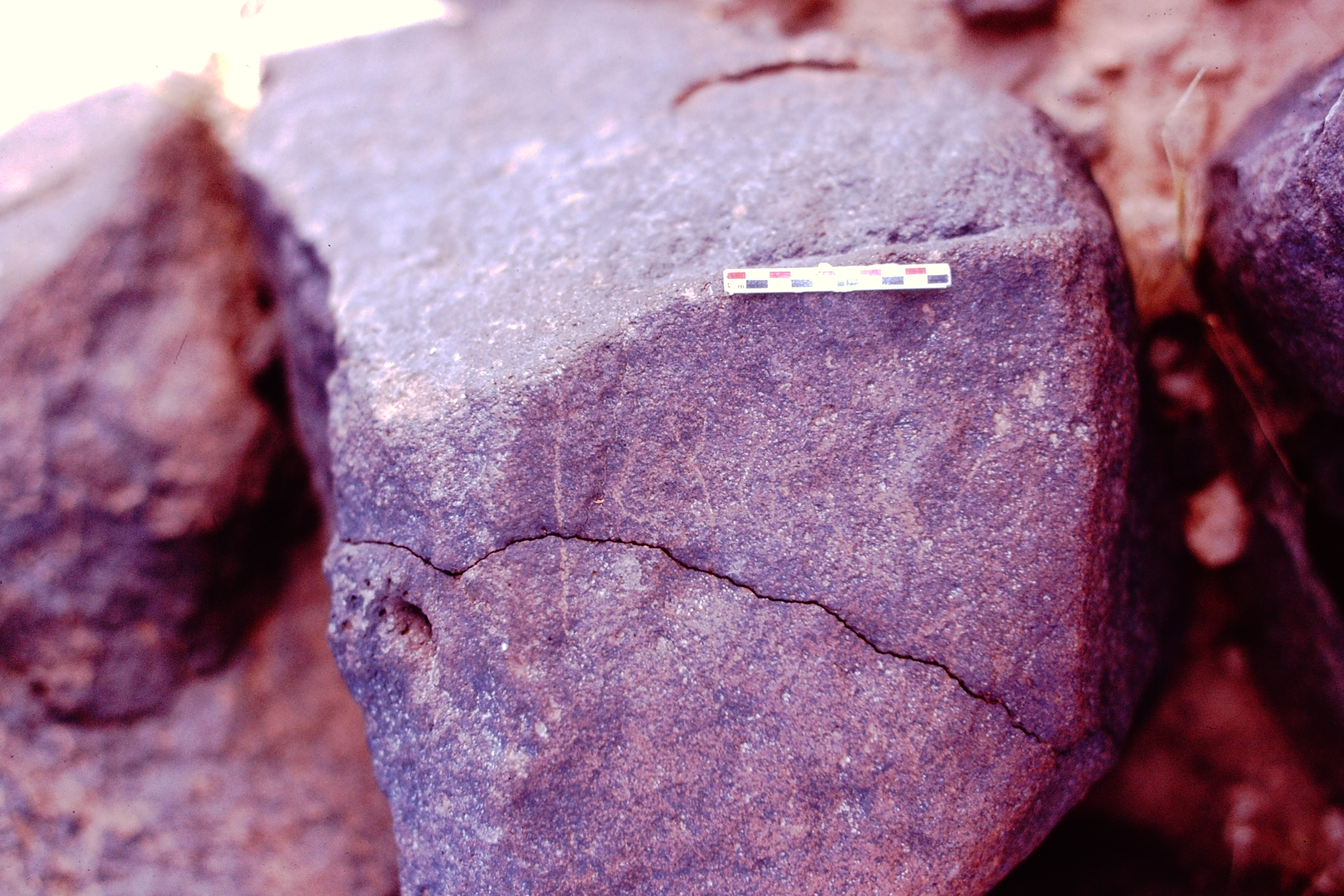 inscription of siglum Is.Mu 842