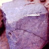 inscription of siglum Is.Mu 842