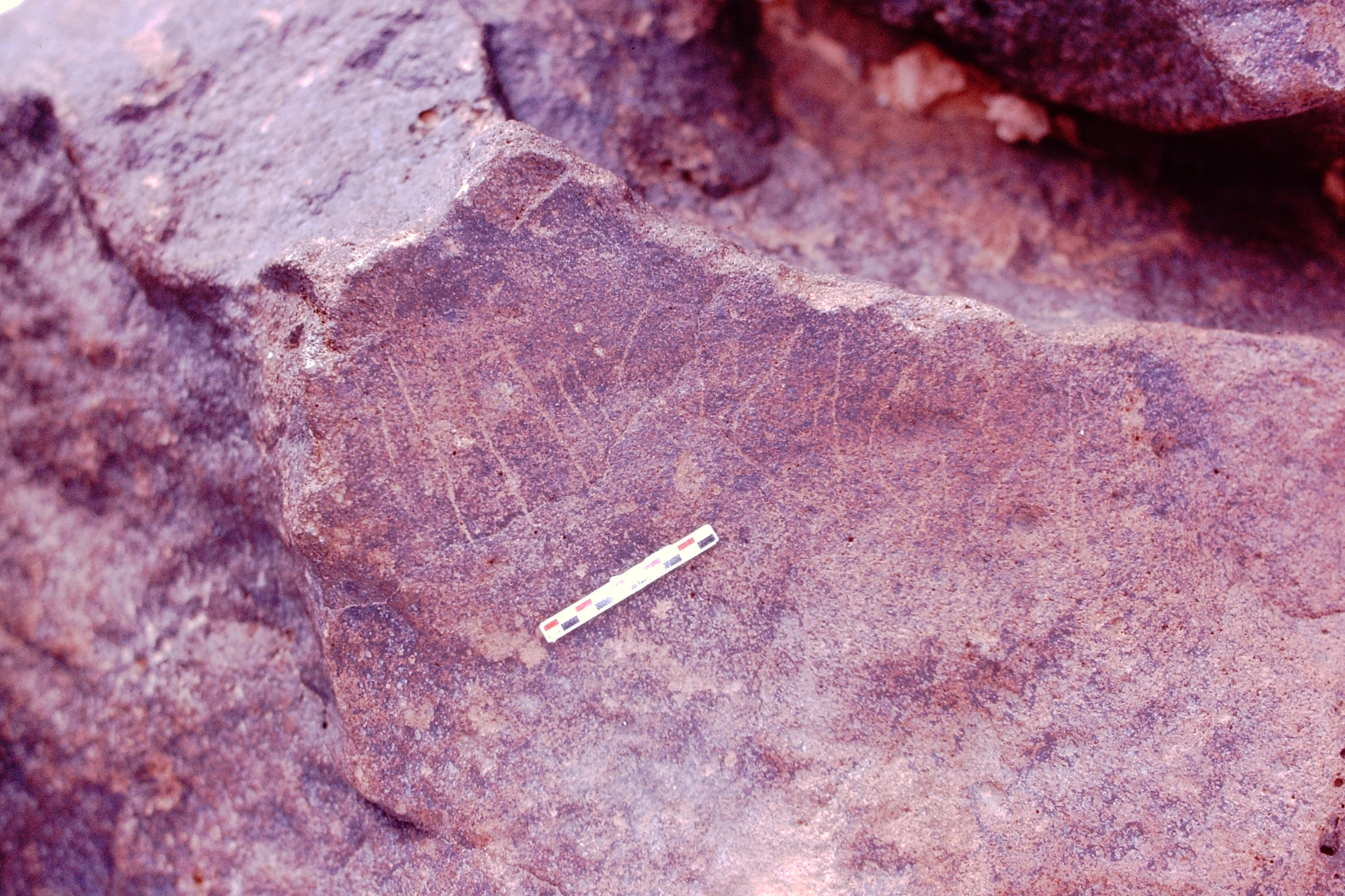 inscription of siglum Is.Mu 843