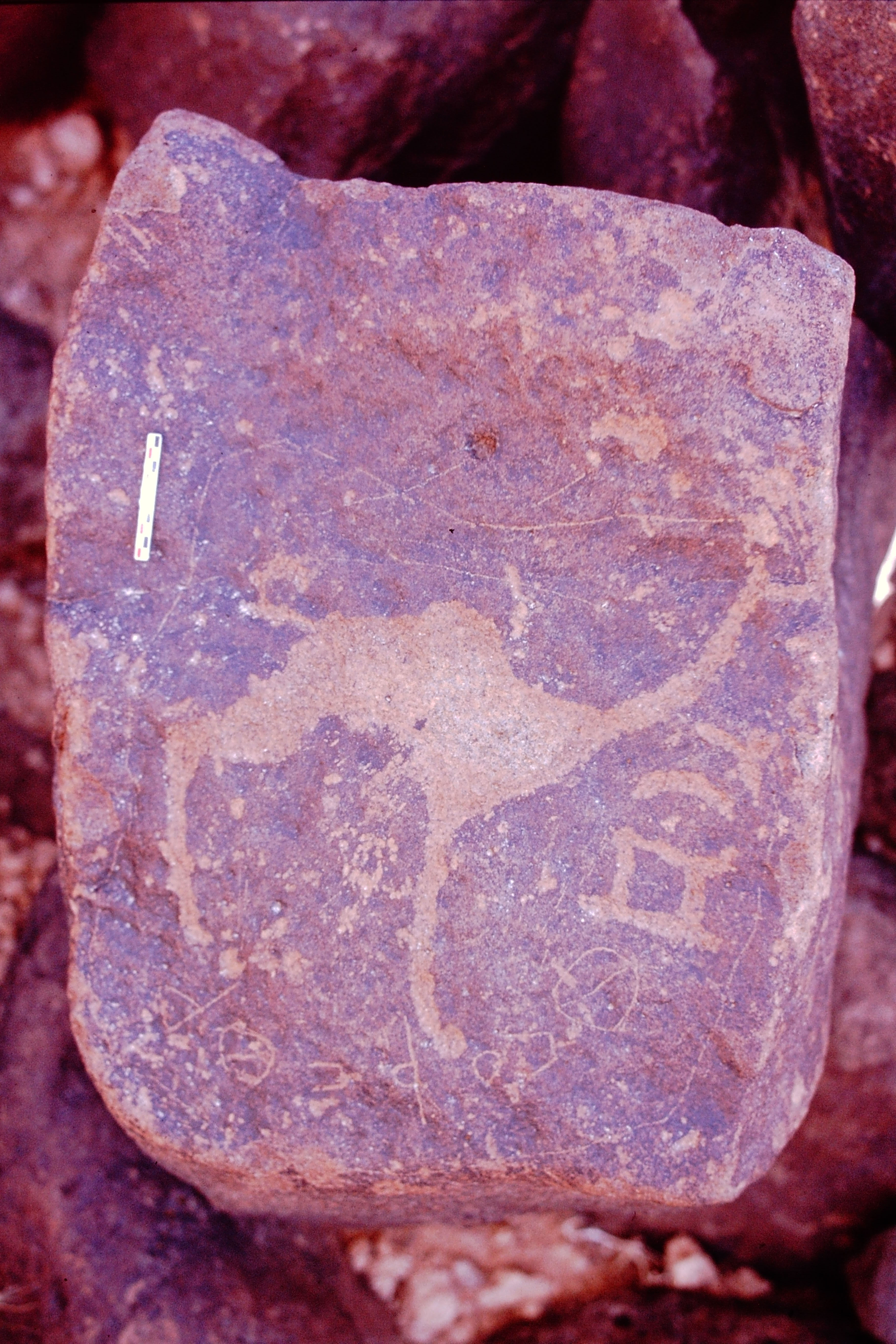 inscription of siglum Is.Mu 849