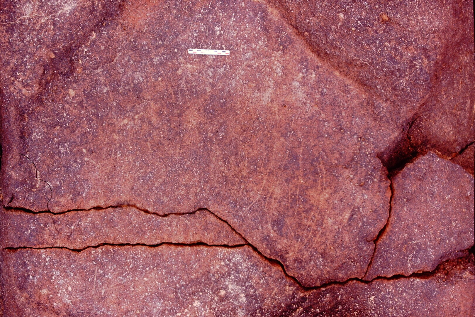 inscription of siglum Is.Mu 855