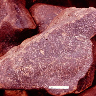 inscription of siglum Is.Mu 869
