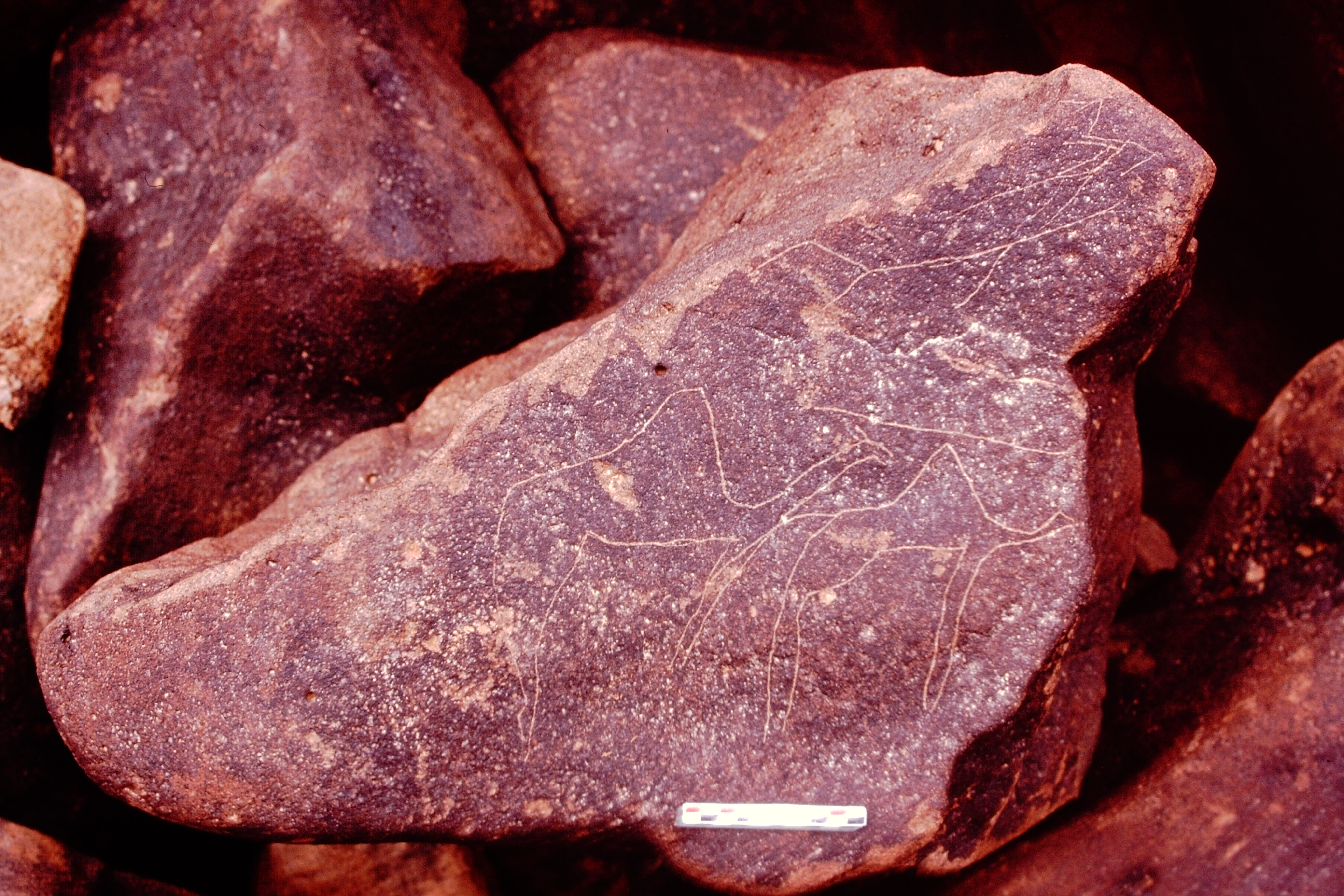 inscription of siglum Is.Mu 869