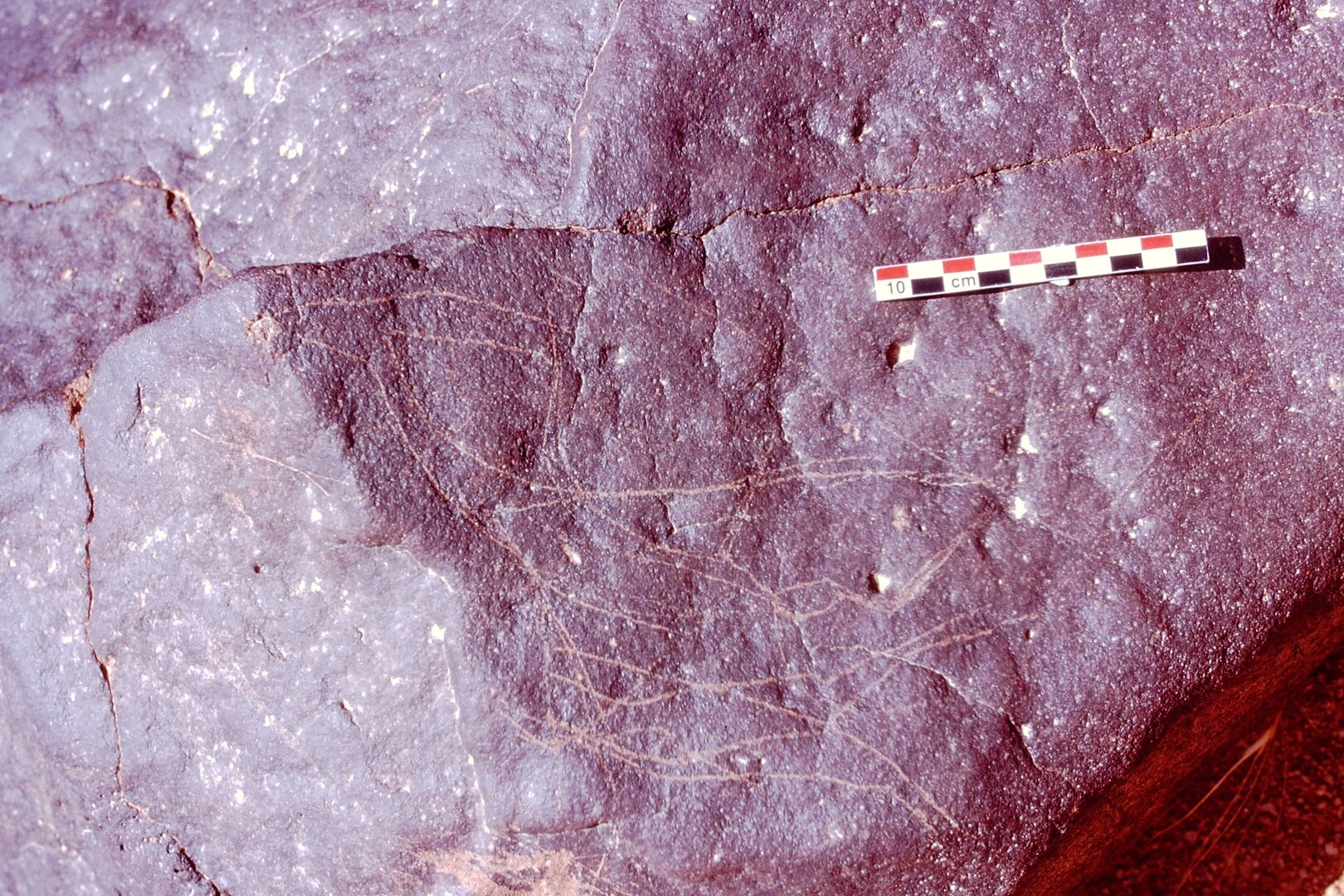inscription of siglum Is.Mu 876
