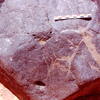inscription of siglum Is.Mu 877