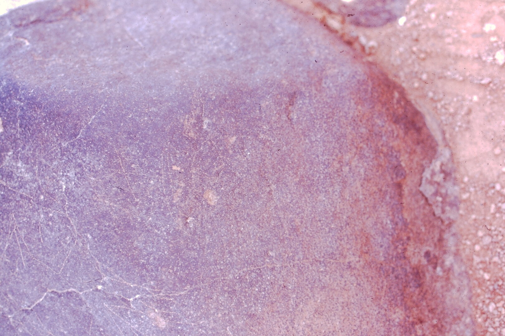 inscription of siglum Is.Mu 878