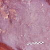 inscription of siglum Is.Mu 878
