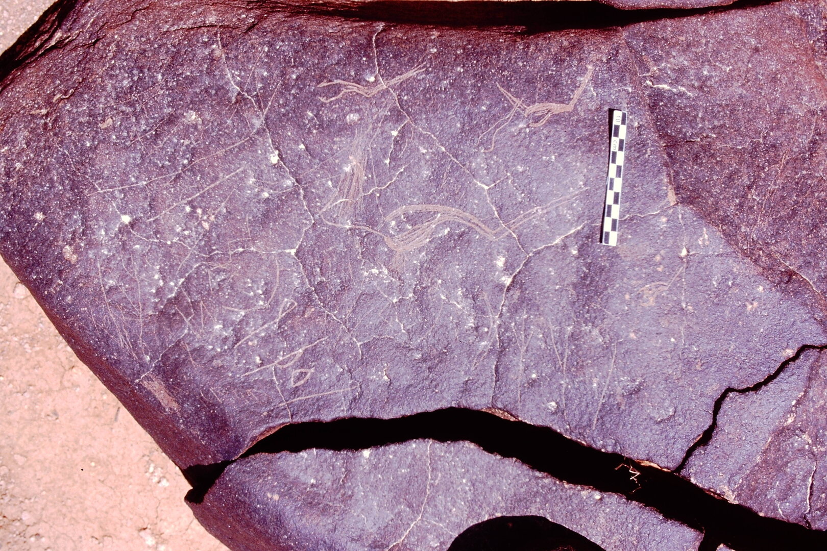 inscription of siglum Is.Mu 884