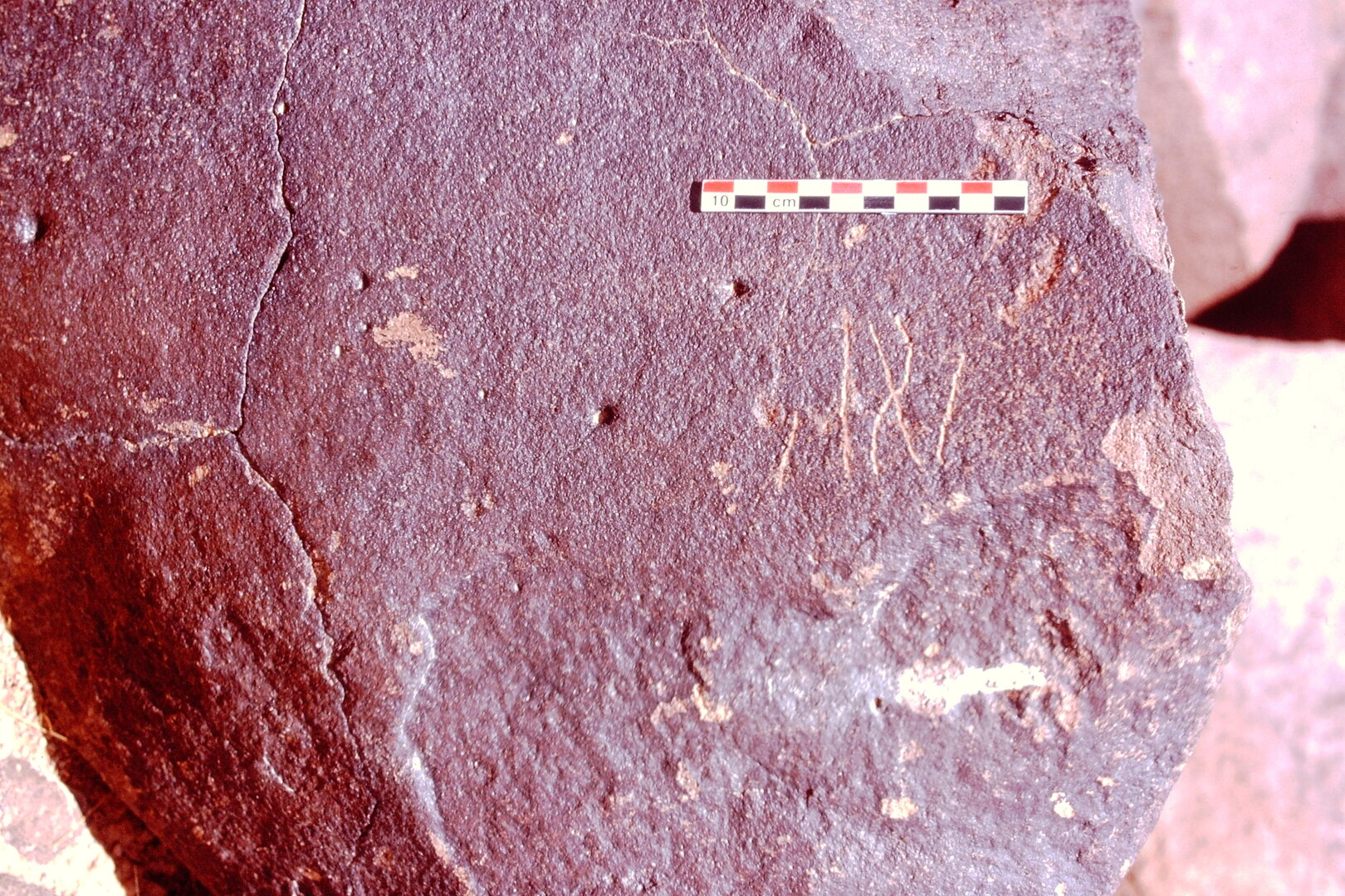 inscription of siglum Is.Mu 895