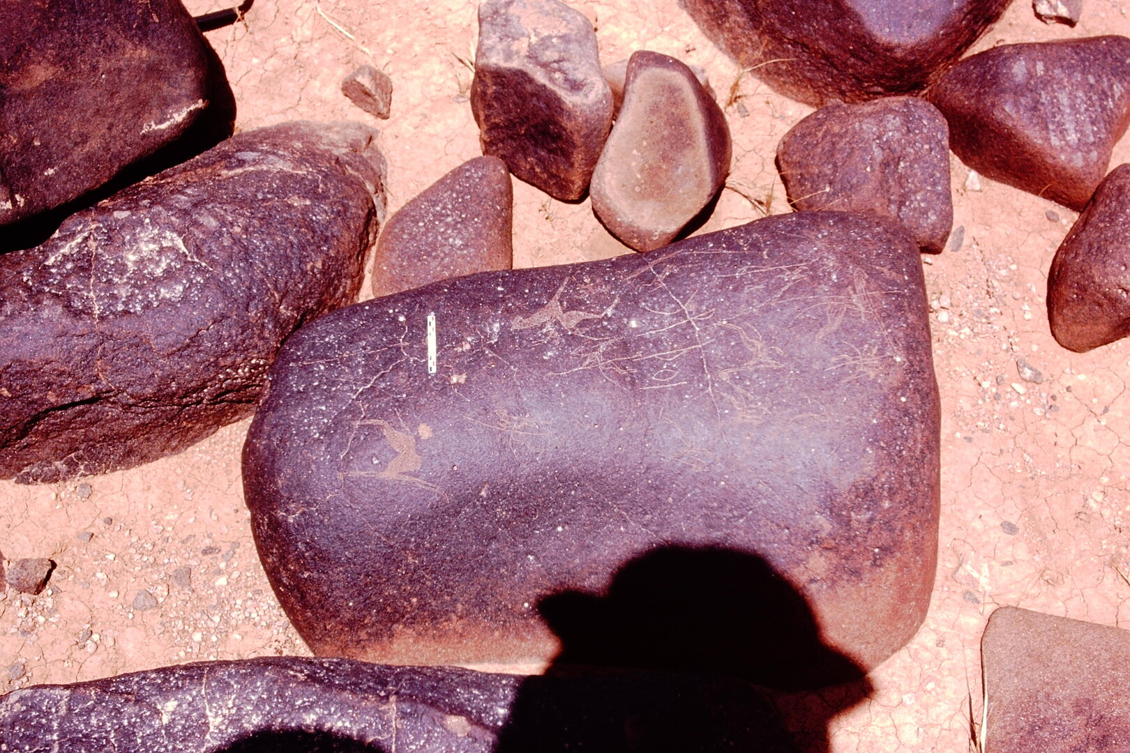 inscription of siglum Is.Mu 895