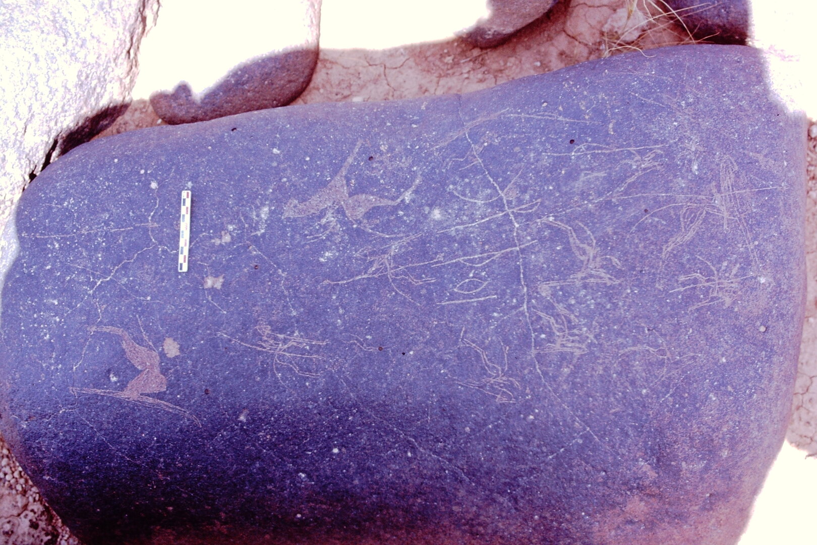 inscription of siglum Is.Mu 895