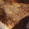 inscription of siglum Is.Mu 91