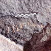 inscription of siglum Is.N 1