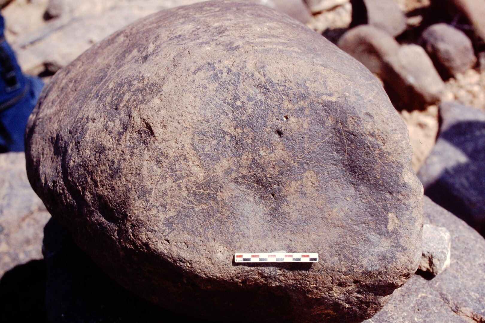 inscription of siglum Is.N 107