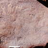 inscription of siglum Is.N 11