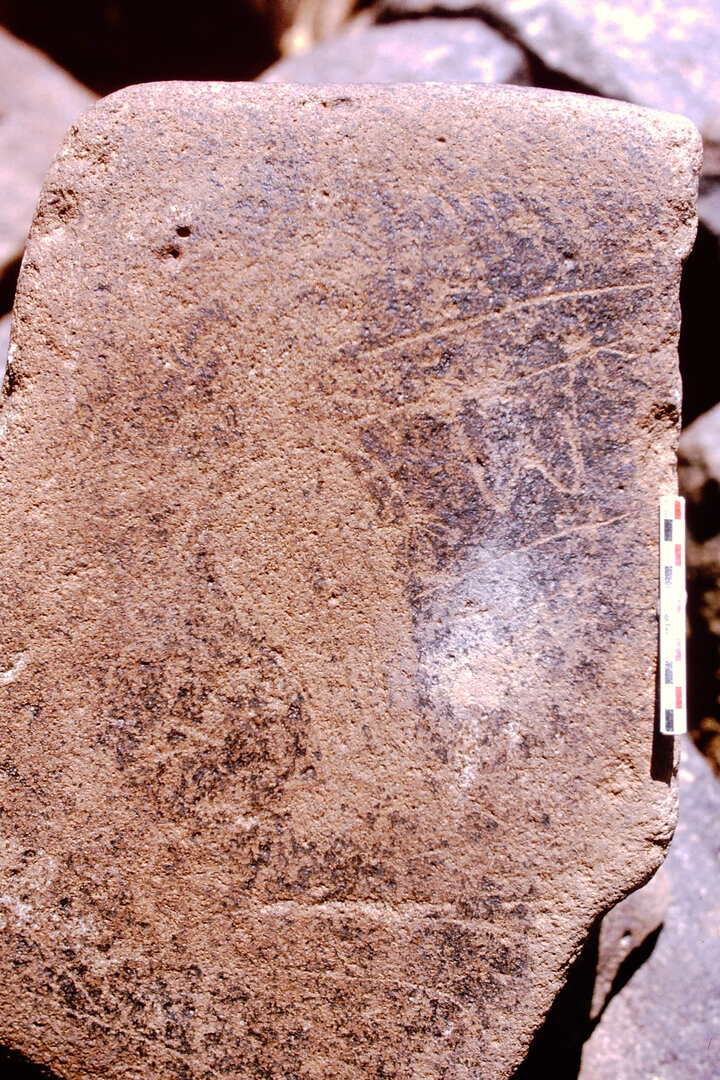 inscription of siglum Is.N 115