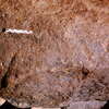 inscription of siglum Is.N 124