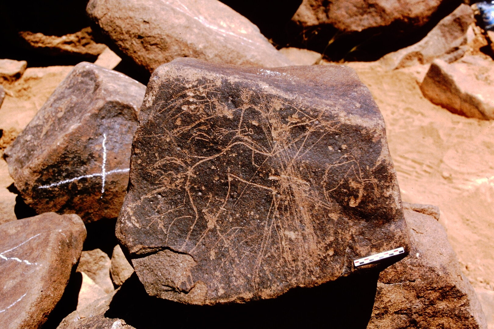 inscription of siglum Is.N 160