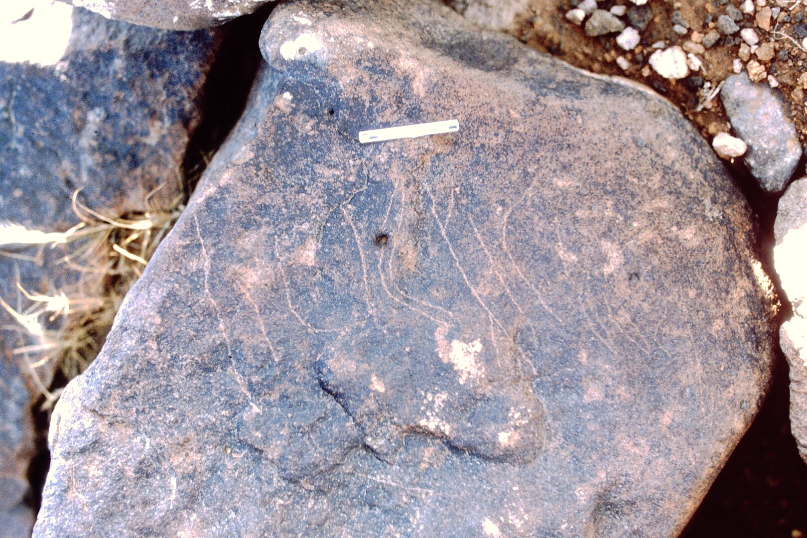 inscription of siglum Is.N 165