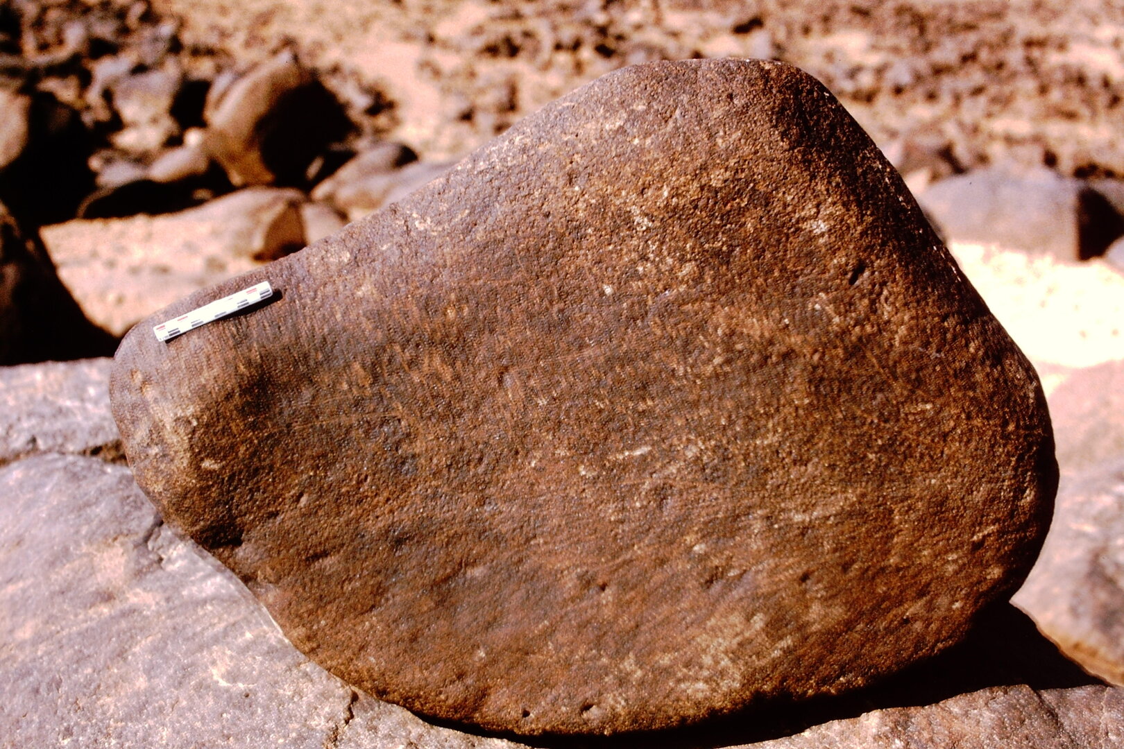 inscription of siglum Is.N 172