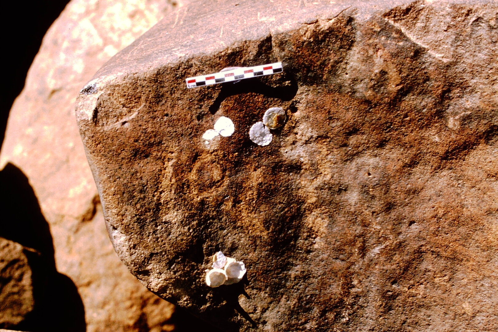 inscription of siglum Is.N 178