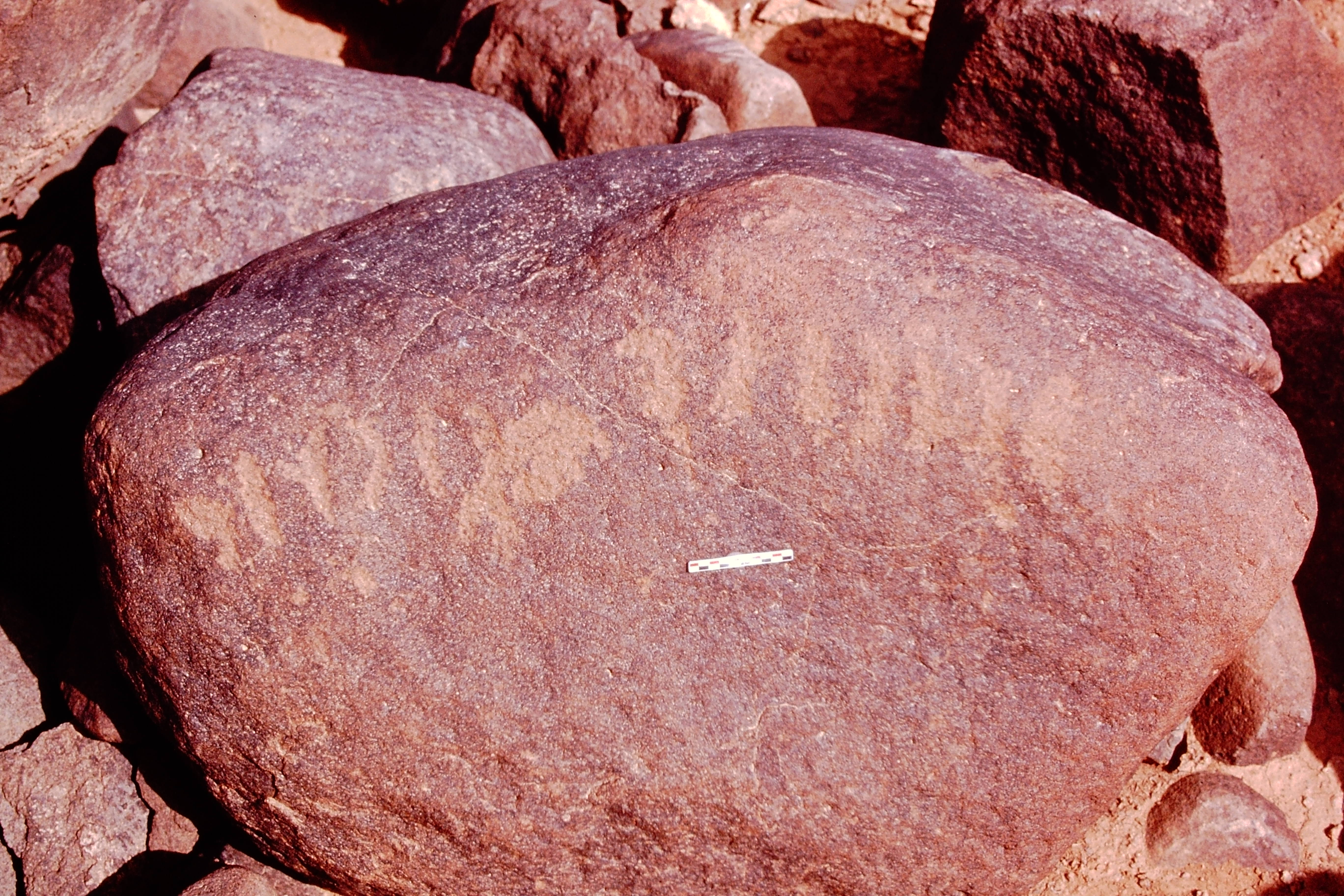 inscription of siglum Is.N 183