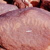 inscription of siglum Is.N 183