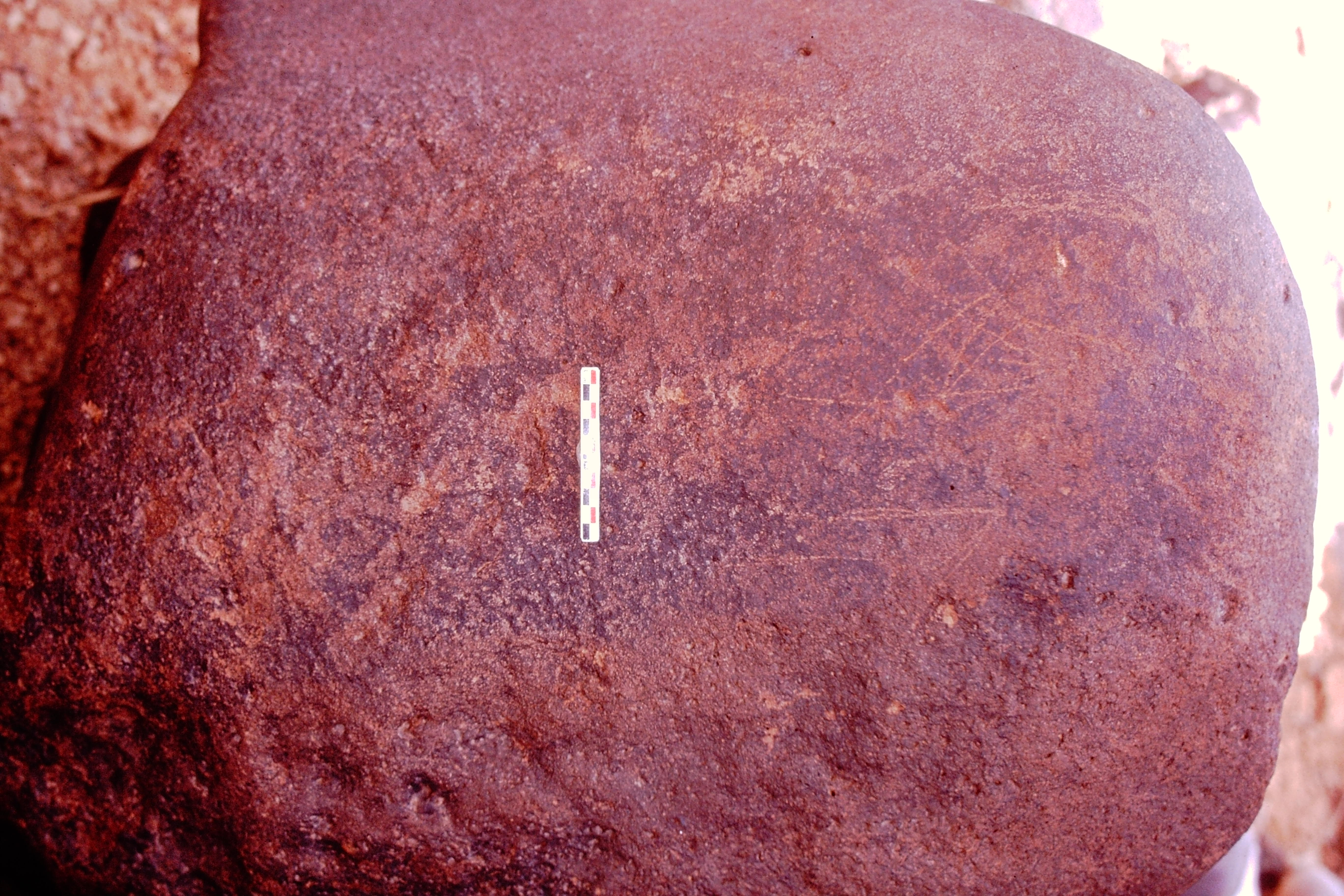 inscription of siglum Is.N 188