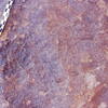 inscription of siglum Is.N 197