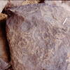 inscription of siglum Is.N 2