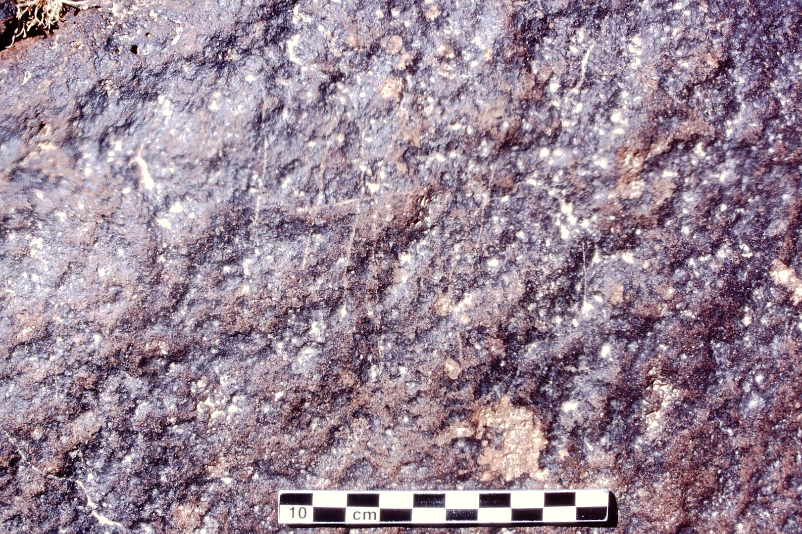 inscription of siglum Is.N 202